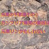 元素の不思議その②～別冊「不思議キュリオシティ」更新しました