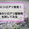 庭にシロアリを発見したので、市販の【シロアリハンター】を使ってみる