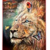 メッセージ🦁『Leo』