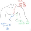 歯科医師・口腔外科医が学ぶ　心エコーについて