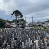 黒ニンニクが切れた。