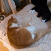 私への慰め