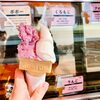 長岡・ジェラート雪鹿でくろもじ＆アロニア！公園にも春が来た！