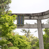 新緑の京都～城南宮・神苑の山吹，サツキツヅジ，藤（前編）