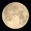 full moon　お月さま