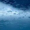 本当に雨が嫌いだから、梅雨の時期は強制在宅ワークにする法案を通して欲しい。