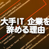 大手IT企業SEを辞めてワーホリに行く理由