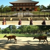 【猿沢池】ザ・奈良！の景色【興福寺】【ならしか】