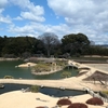 真冬の岡山記（下）
