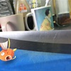 【ポケモンＧＯ画像】ツイッターまとめ～ＡＲ機能がおもしろい～
