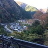パラダイス