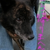 甘えん坊の育て方。