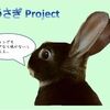 うさぎさん、部屋で飼うといろいろトラブルもあるのですが…