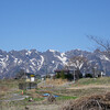 桜前線をおいかけて