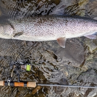 メジャークラフト、ファインテール、ストリーム、グラスロッドをかなり