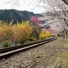 春の風景