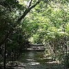 平和公園  ハンノキ湿地の秋