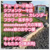 ｍｏｏｎ ｄｅｓｅｒｔ ハンドメイド 犬の洋服“ 出店  潮来市 日の出 ドッグランLUANA