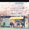 ブルーノに乗って桜を観にいこう。