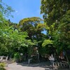 ひっそり隠れてるカラス