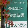 生活の木_薬香草園１（埼玉県飯能市）