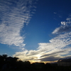 浜ちゃん日記　　夏日のような快晴の朝夕の空