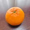 佐賀県の高級柑橘類！にじゅうまるを食す◎