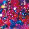  「お母さん食堂問題」の背景　唯川恵『瑠璃でもなく、玻璃でもなく』