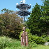 富幕山の山野草