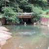 家下川（やしたがわ）の葭池樋門（よしいけひもん）