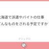 「北海道で派遣やバイトの仕事はどんなものをされる予定ですか？」質問回答