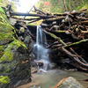 ハチケン谷の小さな滝