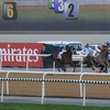 Dubai World Cup Day 2016