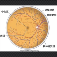 周辺視野を広げるトレーニング方法 Us Vt ビジョントレーニング Us Vt ビジョントレーニング Tarachangブログ 周辺視野を広げるトレーニング方法 Us Vt ビジョントレーニング Us Vt ビジョントレーニング Tarachangブログ