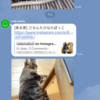 Integromat で Instagram の投稿を LINE に通知する