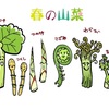 春の食べもの🌱