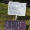 万葉歌碑を訪ねて（その１１６７）―奈良市春日野町　春日大社神苑萬葉植物園（１２７）―万葉集　巻二　一四一