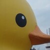 ワークショップPETA！
