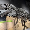 【恐竜の世界に魅せられる福井県立恐竜博物館　福井旅④】