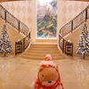 #アンバサダーホテル#クリスマス#くまくま神社