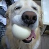 脱出