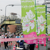初の雨天！マラソンフェスティバル2019。