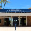 【ハワイ】ワイキキ水族館が再開！！