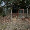 「榊立ての水替え」「裏口からの掃き掃除」「神様はホームレス」「門松飾り」 諏訪神社の清掃活動 2024年12月30日 12月31日 2025年01月02日