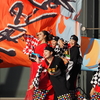 ござれ祭りの写真撮ってきました「YOSAKOIソーラン日本海編」