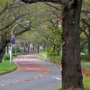 １０月４日　葛飾区水元公園の情景　と金町柴又の猫さま