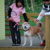 　ヒトと犬の”目に見えない糸っ”！