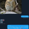 誹謗中傷を潰すのは周りにいるあなたなのよ