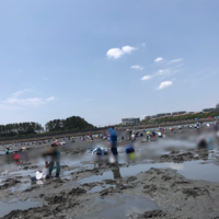 21 船橋三番瀬海浜公園で潮干狩り コンビニで事前にチケット購入が必要に変更 気になる駐車場 当日券 子供とお出かけブログ With Kids Tokyo