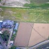 4月17日(日)のつぶやき その１